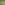 ECOO_2020_Ecolat-8.JPG