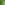 ECOO_2020_Ecolat-11-min.JPG