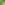 ECOO_2020_Ecolat-12-min.JPG