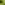 1. Bevorder de biodiversiteit