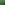 4. Rucola