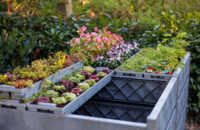 2025-ecoo-garden-compost-bin-terragrow-850l-1.jpg