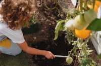 2025-ecoo-compost-bin-terragrow-850l-compost-1.jpg
