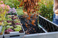 2025-ecoo-garden-compost-bin-terragrow-850l-autumn.jpg