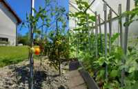 web-jv-ecoo-garden-garden-posts-ecoposts-3.png