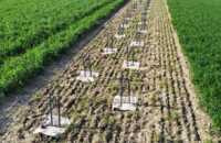 web-jv-ecoo-garden-garden-posts-ecoposts.png
