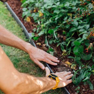 Garden Edging