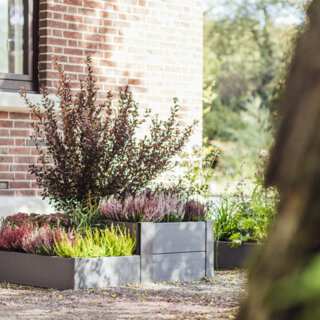 Kitchen Garden