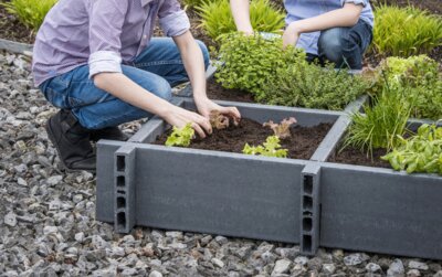 Garden Box