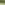 ECOO_2020_Ecolat-7.JPG