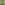 ECOO_2020_Ecolat-16-min.JPG