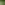 ECOO_2020_Picknickbank-1-min.JPG