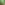 ecoo-2020-moestuinbak-28.JPG