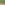 ecoo-2020-moestuinbak-25.JPG