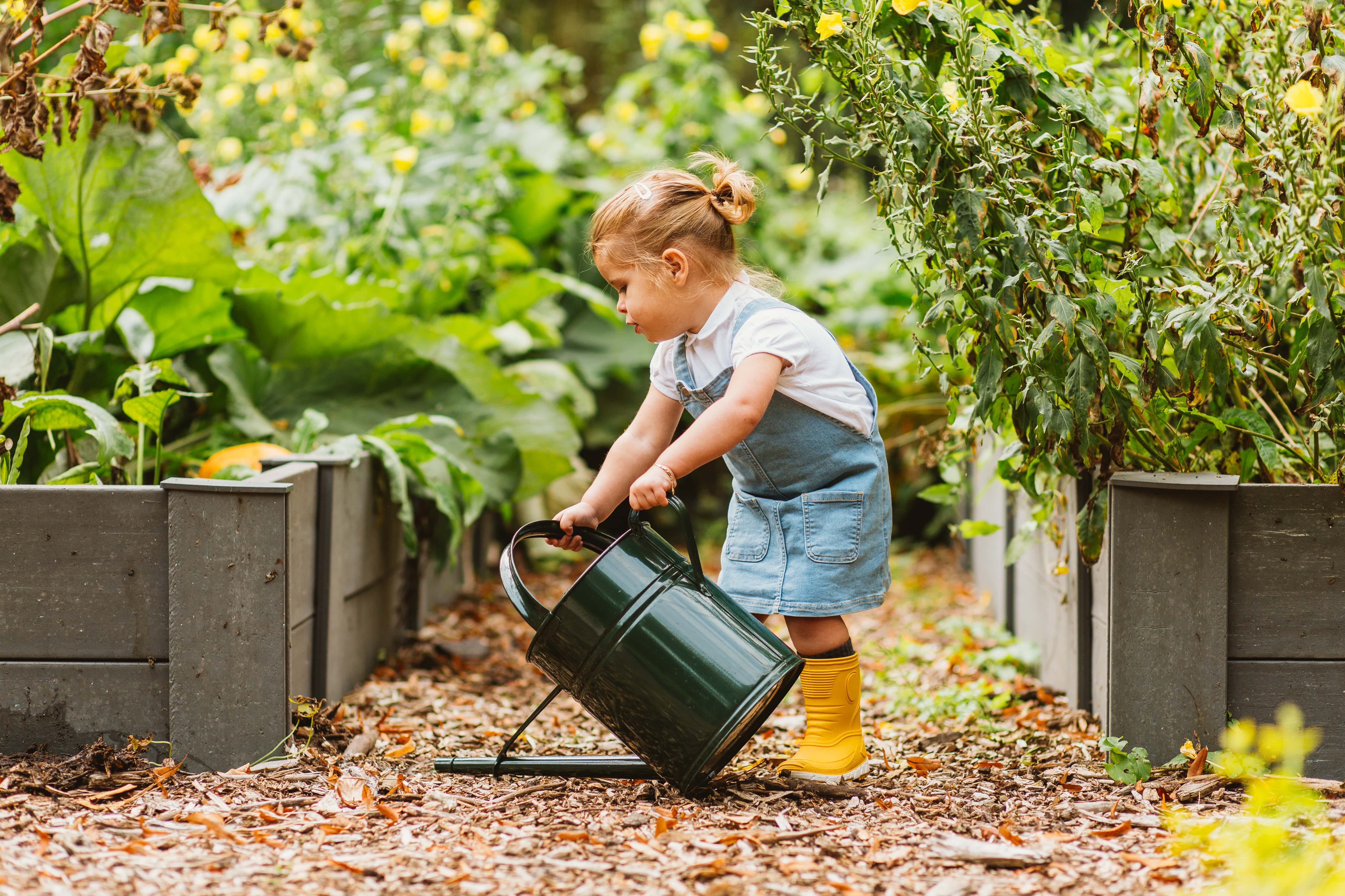 ecolat tuinafboording
