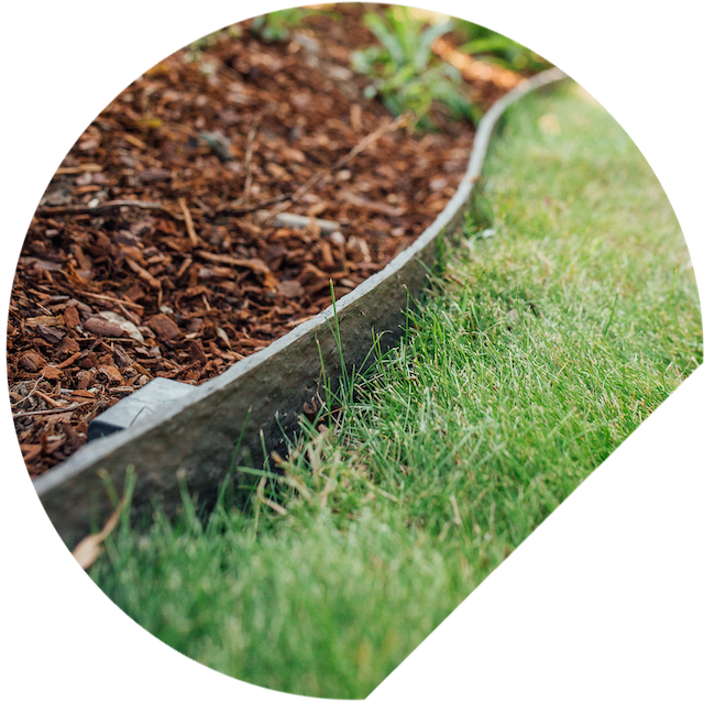 2 - ECOO_2020_Ecolat-11.png